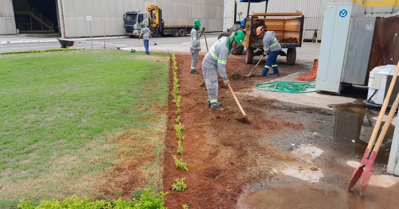 12 JARDINAGEM E LIMPEZA