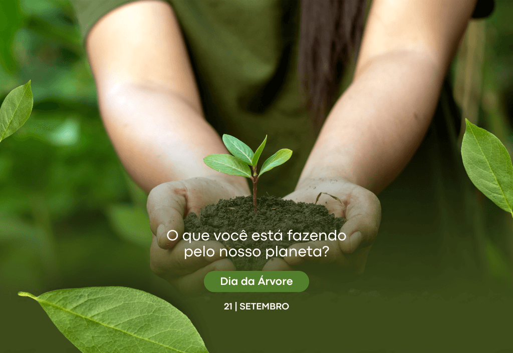 Dia da Árvore, preserve a natureza!