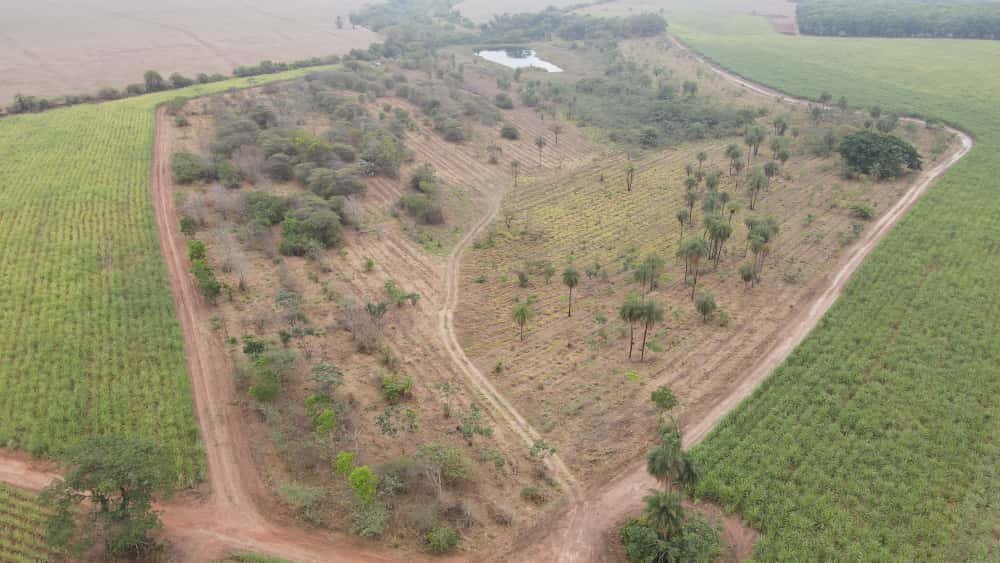 Sustentabilidade - blog