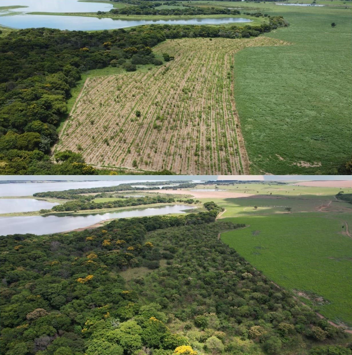 Empresa especializada em serviços de implantação e manutenção de áreas verdes