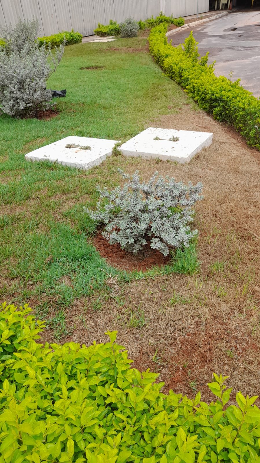 Seu jardim nas mãos de profissionais - KRS