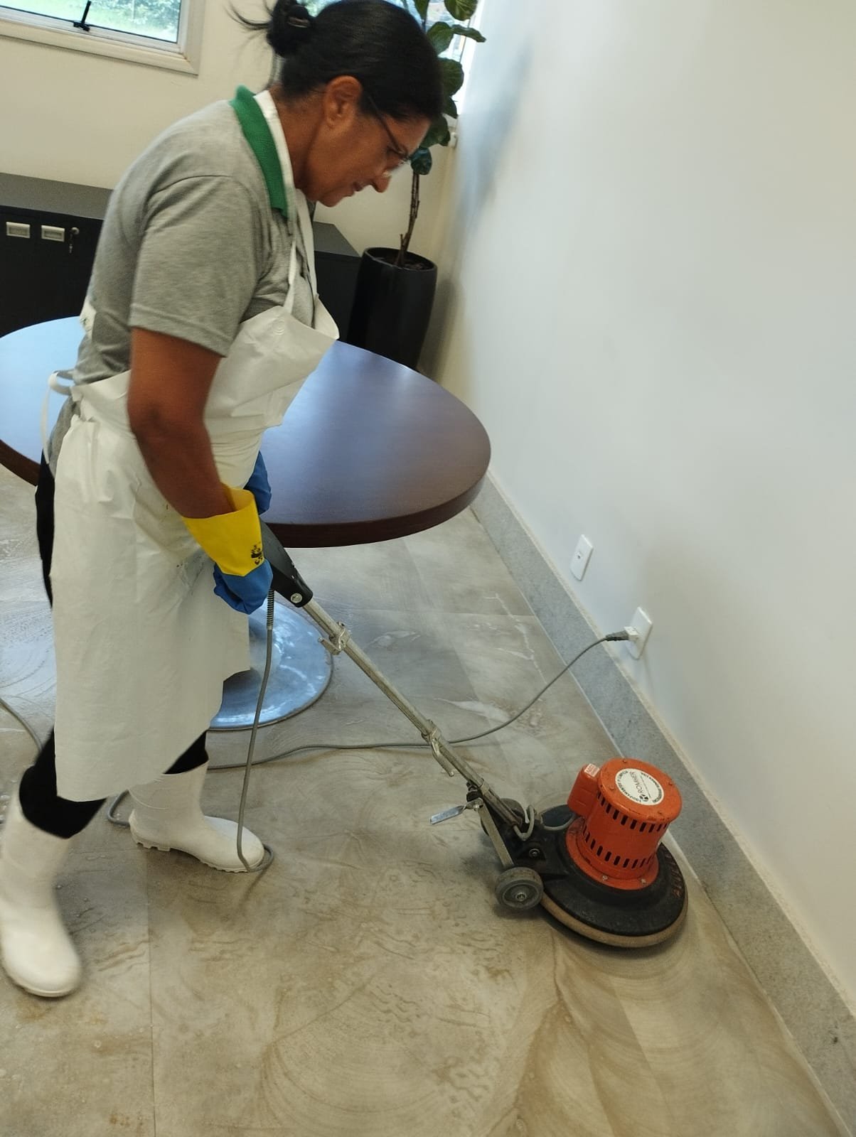 Limpeza administrativa