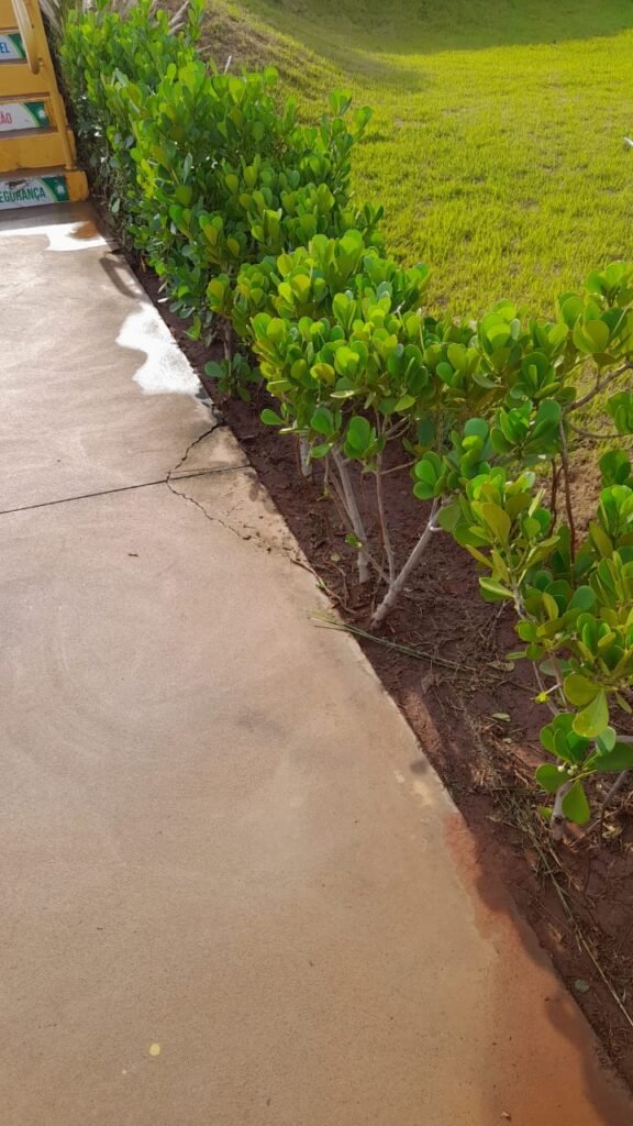 Seu jardim nas mãos de profissionais