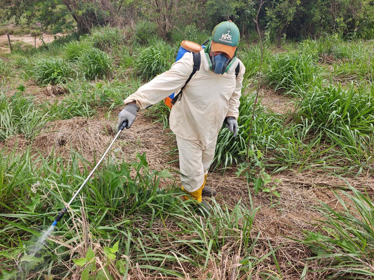Aplicação de Herbicida em Área Verde