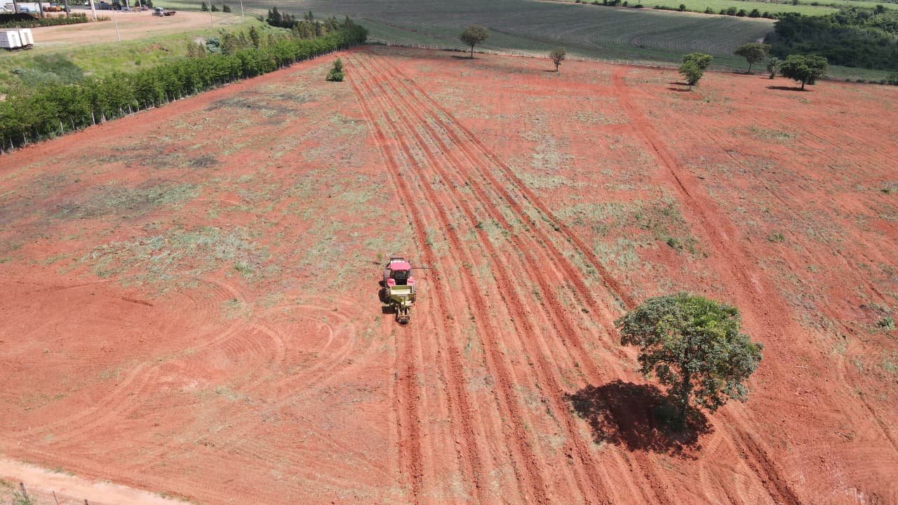 Drone registrando imagens do plantio em área rural