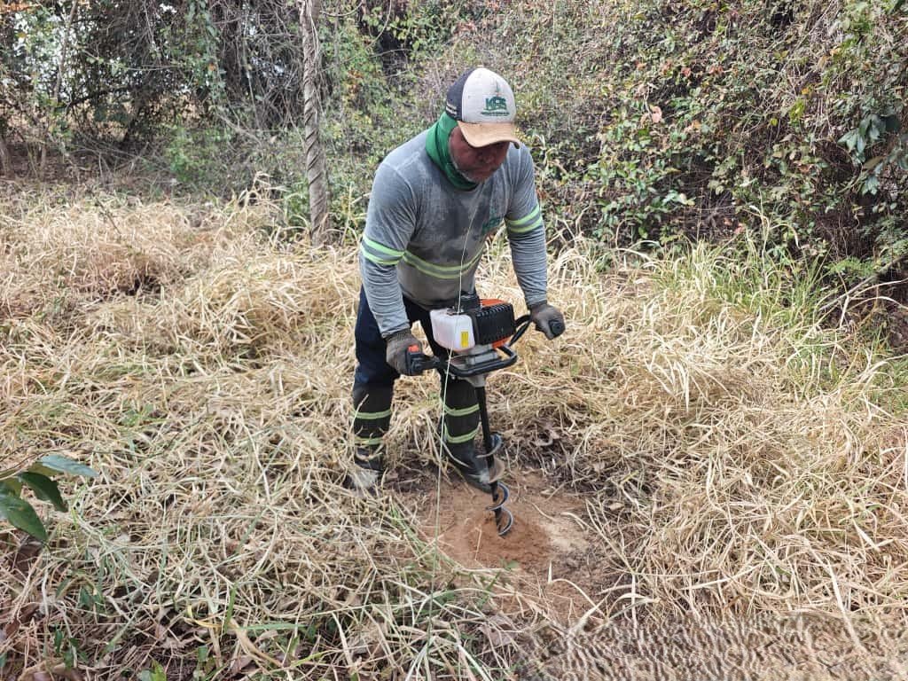 Plantio Manual de Árvores Nativas