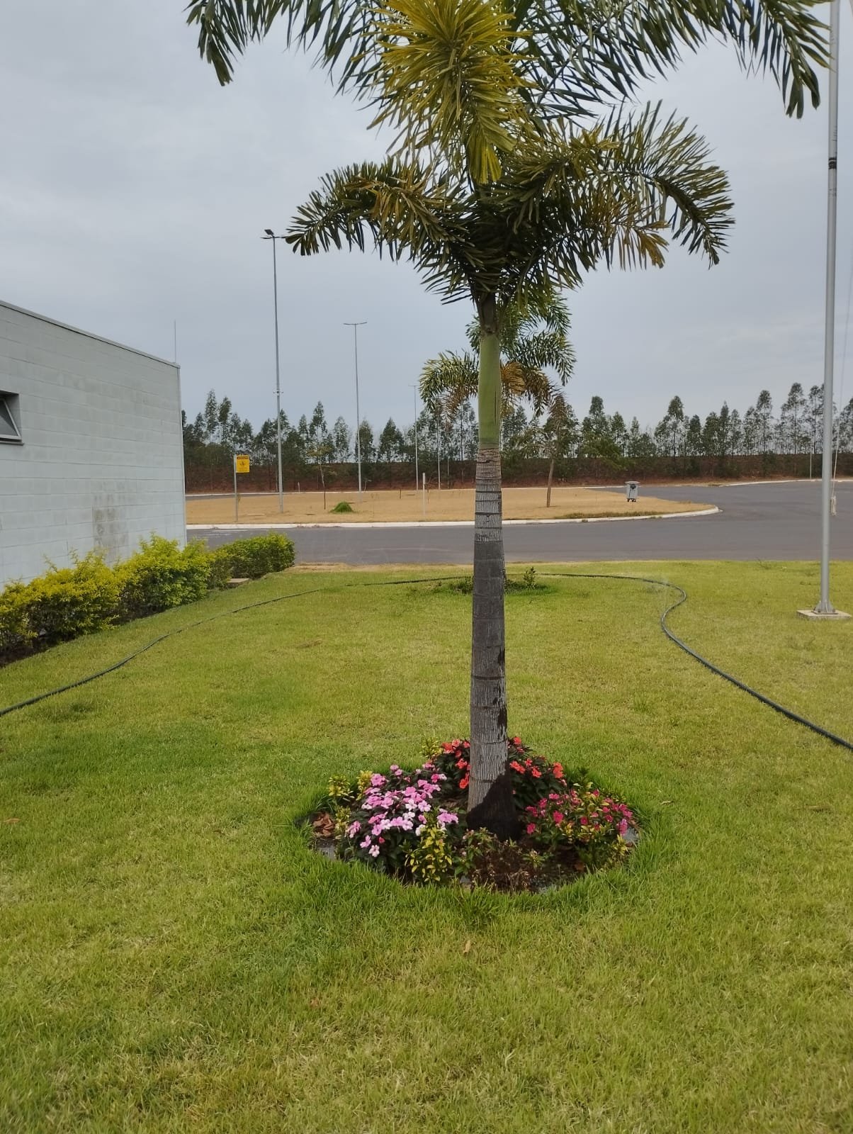 Jardinagem e Manutenção