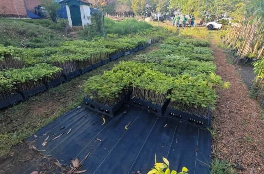 A KRS é uma empresa especializada em serviços de implantação e manutenção de áreas verdes