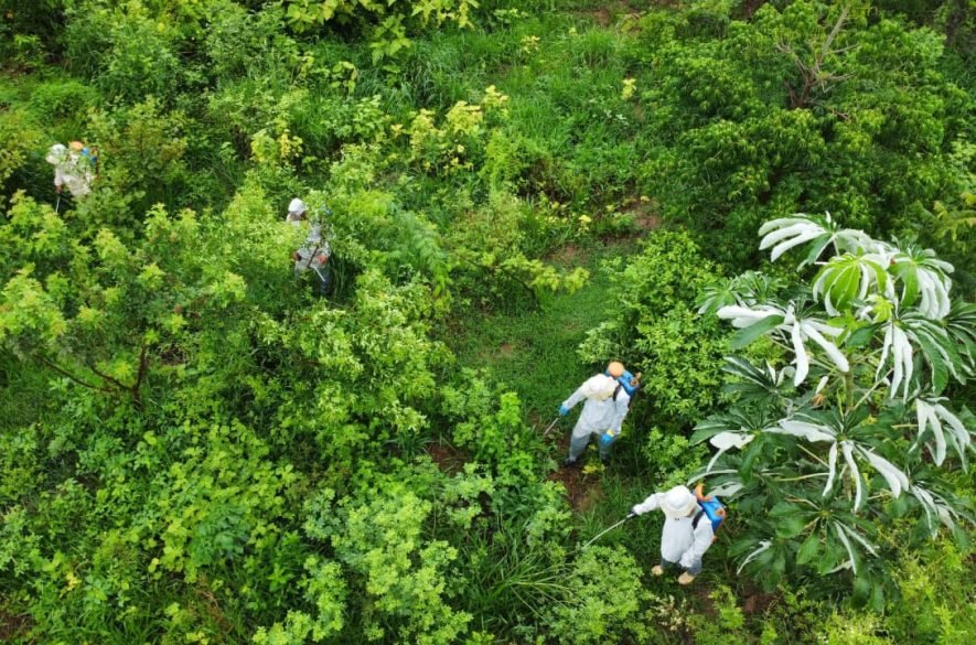 A KRS é uma empresa especializada em serviços de implantação e manutenção de áreas verdes