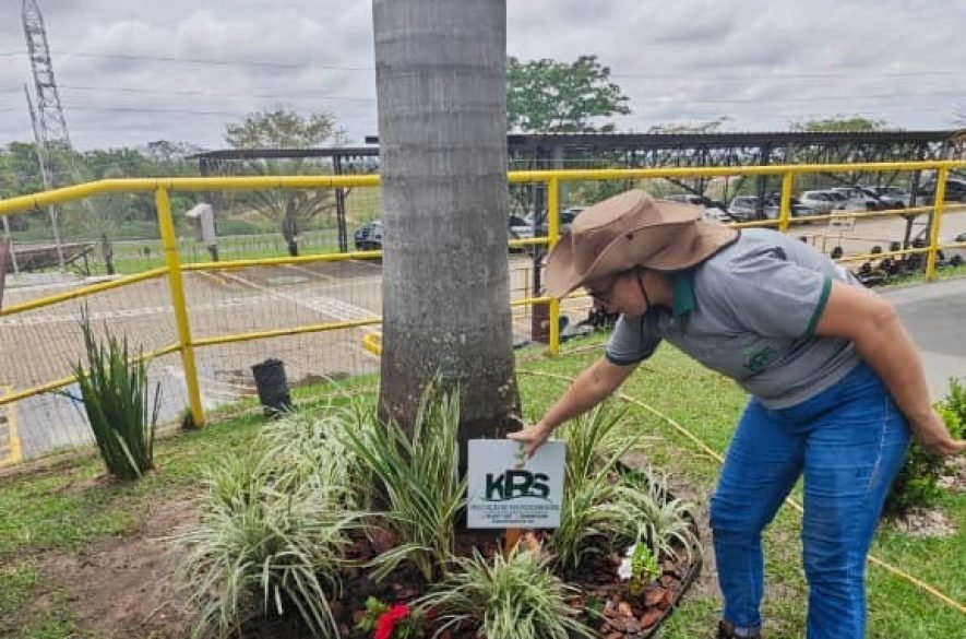 Jardinagem e manutenção